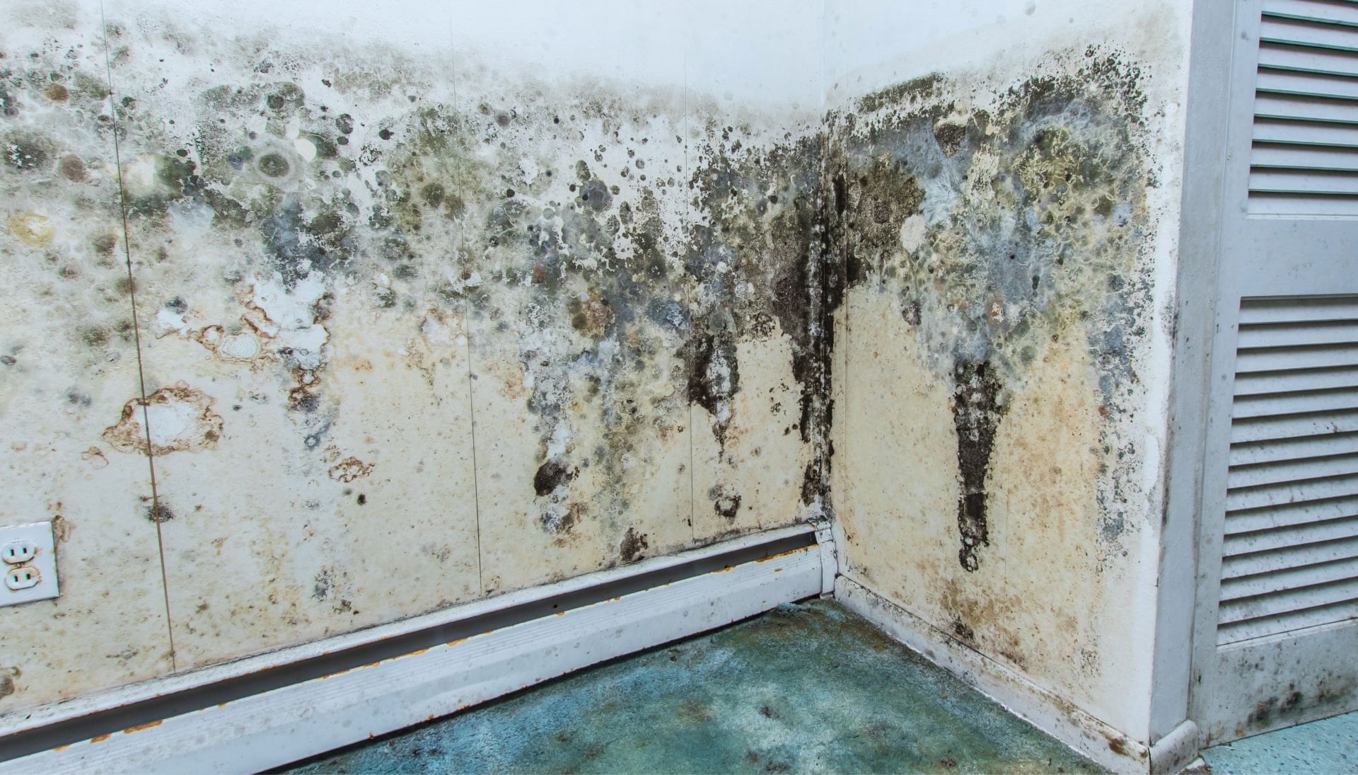 Mold Damage Odor Control Services in Naperville
