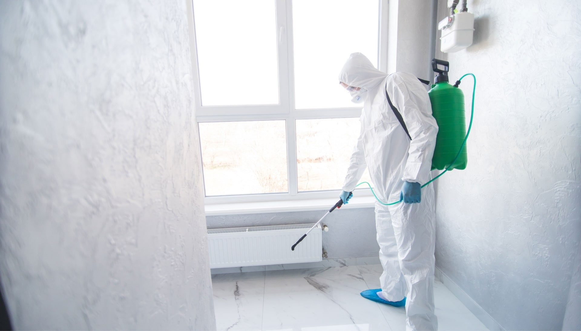 Mold Inspection Services in Naperville